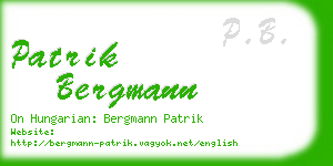 patrik bergmann business card